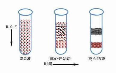 醫用離心機全知道