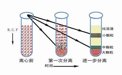 醫用離心機常用的離心方法