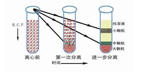 醫用離心機全知道